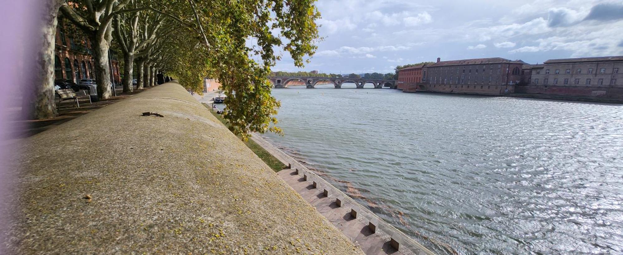 Appartement Hyper Centre Historique Toulouse Capitole Cosy المظهر الخارجي الصورة